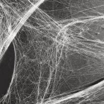 položky Halloweenska dekorácia pavučina 70×100cm 150g