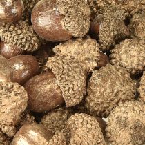 Článok Zlaté jesenné plody, slávnostné jesenné dekorácie, prírodné dekoratívne žalude, adventná dekorácia Ø1,5 – 2,5 cm D1,5 – 3 cm 300 g