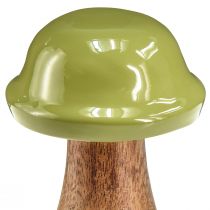 položky Drevené hríby dekoračné hríby drevo sivozelené Ø6cm V10cm 2ks