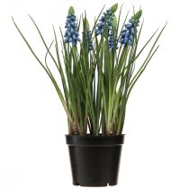 položky Umelé hyacinty v modrom črepníku 24cm