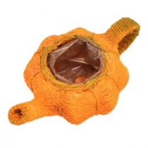 položky Džbán na výsadbu tekvíc oranžový/žltozelený Ø13cm