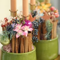 položky Svietnik korunka zlatá, kovový držiak na sviečky 4 ks