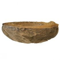 položky Kvetináč na kokosové palmy, prírodný, 20 cm, 5 kusov