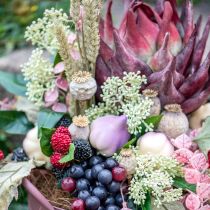 položky Umelé kvety krém Skimmia japonica Skimmie 45cm 2ks