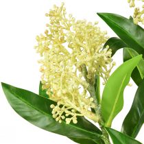Článok Umelé kvety krém Skimmia japonica Skimmie 45cm 2ks