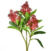 položky Umelé kvety Skimmia japonica červená Skimmia 45cm 2ks
