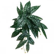 položky Umelá begónia Umelá rastlina zelená, tmavozelená 42×28cm