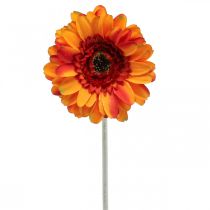 položky Umelý kvet gerbery, umelý kvet oranžový Ø11cm 50cm
