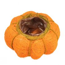 položky Tekvicový kvetináč oranžovo-žltozelený zo sisalu Ø15cm V9cm