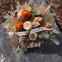 položky Umelé kvety, Banksia, Proteaceae oranžová D58 cm V6 cm 3 ks