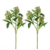 položky Umelé kvety zelené Skimmia japonica Skimmie 45cm 2ks