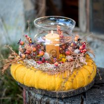 položky Umelé rastliny jesenná dekorácia bodliaky bobule papraď 65cm strapec