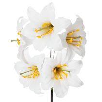 položky Ľalia na drôte, stredná, 25 kusov