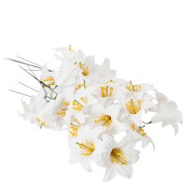 položky Ľalia na drôte, stredná, 25 kusov