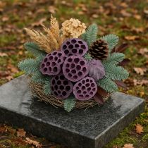 položky Lotosové kapsuly, suché kvetinárstvo, lotosová cibuľka ružová, praná biela 50 kusov