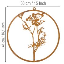 položky Kovový prsteň, hrdzavý kov, ozdobný prsteň, nástenná dekorácia, vetvička kôpru, Ø38cm