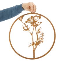 položky Kovový prsteň, hrdzavý kov, ozdobný prsteň, nástenná dekorácia, vetvička kôpru, Ø38cm