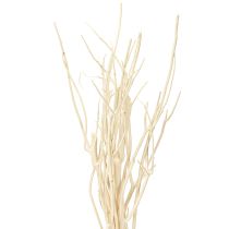 položky Mitsumata konáre biele 34-60cm 12 ks