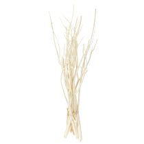 položky Mitsumata konáre biele 34-60cm 12 ks