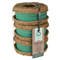 položky OASIS® Biolit® Prsteň/Veniec 17cm 6 ks