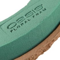 položky OASIS® Biolit® Prsteň/Veniec 17cm 6 ks