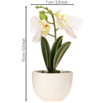 položky Mini orchidey umelé biele orchidey v kvetináči 15cm
