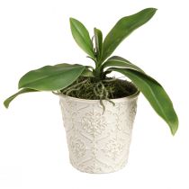 položky Listy orchidey s vzdušnými koreňmi umelé 34x8x18cm