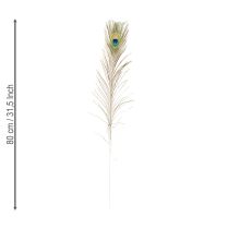 položky Dekorácia z pávieho peria, pravé vtáčie perie, dlhé 75-85 cm, 8 kusov