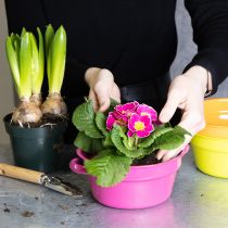 položky Kovový kvetináč, originálny dizajn pre sofistikované obytné priestory a štýlovú dekoráciu, 17 cm, 3 kusy