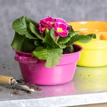 položky Kovový kvetináč, originálny dizajn pre sofistikované obytné priestory a štýlovú dekoráciu, 17 cm, 3 kusy