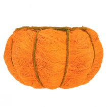 položky Dekorácia na kvetináč s tekvicou oranžovo-žltozelený sisal Ø21cm V12cm