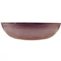 položky Elegantná fialová plastová miska 37x10,5 cm - všestranná na dekoráciu - 3 kusy
