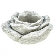 položky Dekorácia na hrob ruže stolová dekorácia svietnik sivobiela Ø14cm V7cm