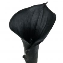 položky Deco Calla Black 75 cm