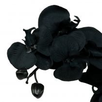 položky Orchidea na ozdobu Čierna 54cm