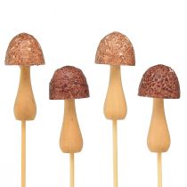 položky Kvetinová zátka hubová ozdobná zátka drevo hnedá Ø2,5cm 8 kusov