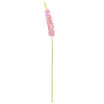 položky Stepová sviečka Desert Tail Pink 106cm