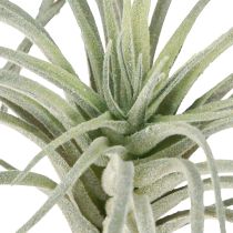 položky Tillandsia sukulentné umelé zelené rastliny 13cm