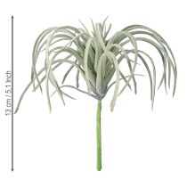 položky Tillandsia sukulentné umelé zelené rastliny 13cm