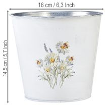 položky Biely kovový kvetináč, Ø16 cm V14,5 cm