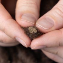 položky Nadýchaná vlnená šnúra Mirabell, hnedá, 25 m, ozdobná stuha na kvetinárstvo a remeslá