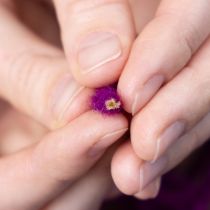 položky Vlnená šnúra, fialová, 55 m ozdobný špagát na kvetinárstvo a remeslá