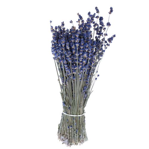 Sušený levanduľový zväzok sušených kvetov modrý 25cm 75g