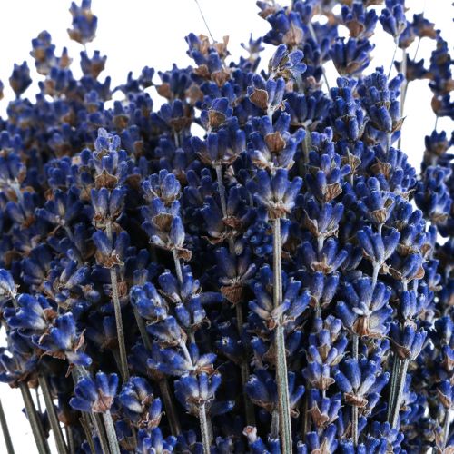 položky Sušený levanduľový zväzok sušených kvetov modrý 25cm 75g