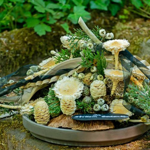 položky Susanne rozeta bielená 25 ks