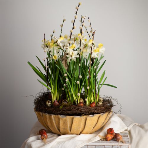 Floristik24 Okrúhly kvetináč, kvetinová dekorácia, plastová miska, nádoba na aranžmány zelená, biela melír V8,5cm Ø30cm