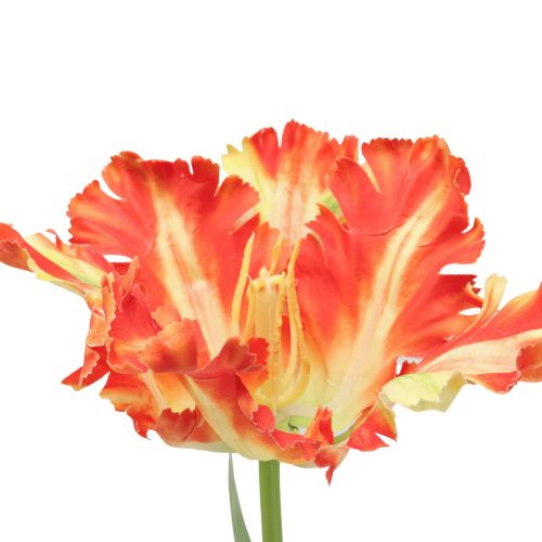 položky Umelý kvet papagáj tulipán umelý tulipán oranžový 69cm