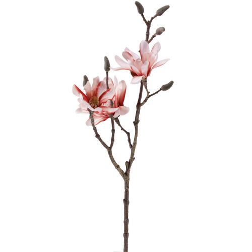 Floristik24 Magnolia vetvička magnólia umelá lososová 58cm