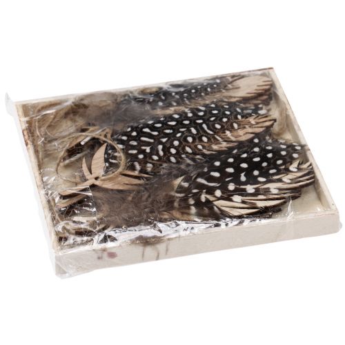 položky Ozdobný prívesok pierko drevené prírodné pierko 9,5/10cm 9 ks