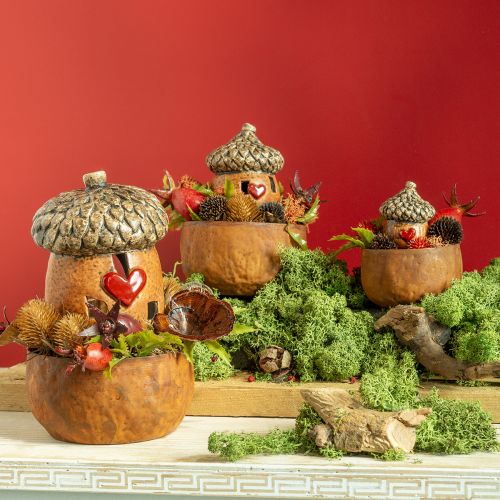 Floristik24 Lucerna žaluď hnedá, 15,4cm - Rustikálna jesenná dekorácia s motívom srdca